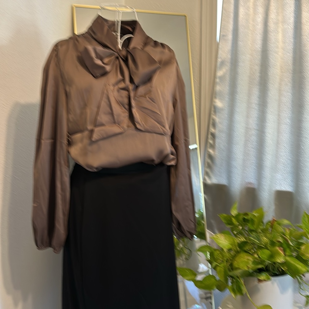 Brown Bishop Sleeve Blouse with Tie Front